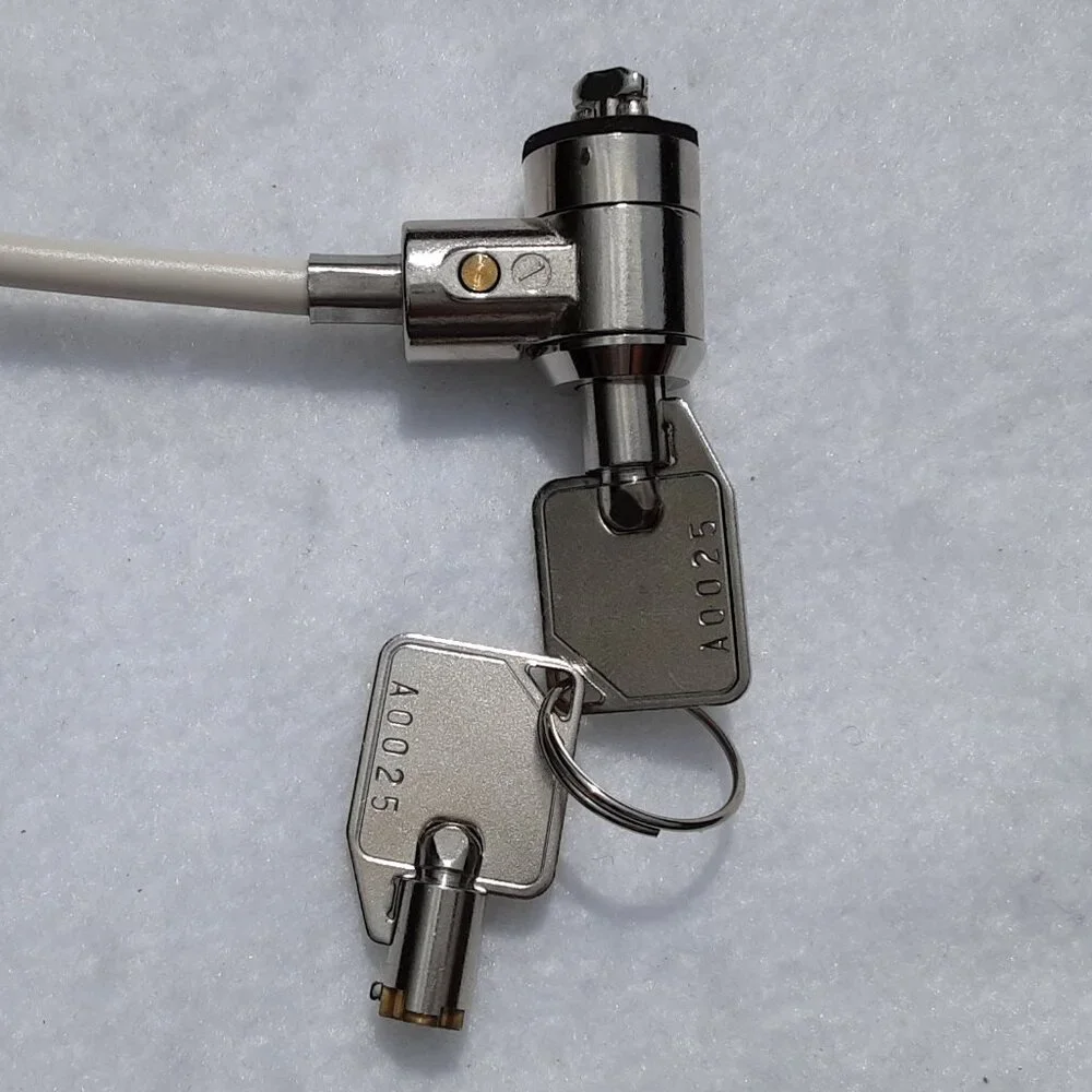 PC (Personal Computer) Cable Lock 3ft Straight with 2 Keys